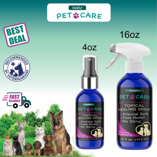 Ringworm dog treatment - dog,